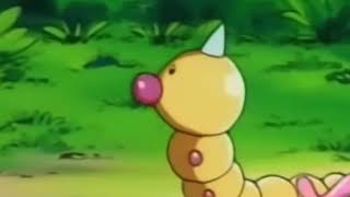 Weedle 013 [upl. by Tikna]