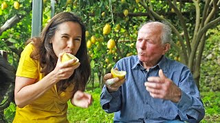 LEMON  How Does it Grow ITALY SPECIAL sweet Amalfi lemons [upl. by Martita815]