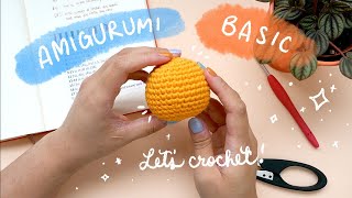 Amigurumi Basics for Beginners Amigurumi 101  Amigurumi Tutorial [upl. by Aslehc]