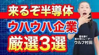 【来るぞ半導体】ウハウハ企業 厳選３選 [upl. by Henrieta]