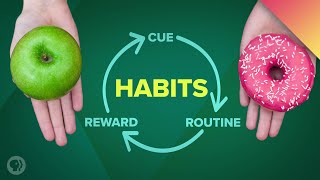 How Habits Can Change Your Life and Your Brain [upl. by Ahsilak]