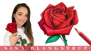 How to Draw a Realistic Rose  Step by Step Tutorial for Beginners [upl. by Tivad]