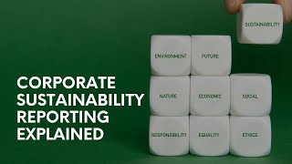 Sustainability Reporting Explained [upl. by Ettenor]