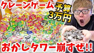 【崩壊】クレーンゲームでお菓子の山の雪崩を起こすぜ【予算3万円】【ヒカキンTV】 [upl. by Eltsyrc786]