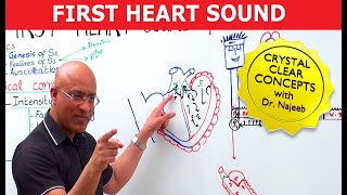 S1 Heart Sounds and Murmurs  First Heart Sound  Dr Najeeb🫀 [upl. by Weasner]