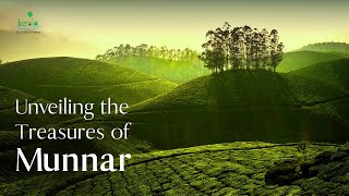 The Ultimate Munnar Experience  Kerala Tourism DreamDestinations [upl. by Kurt920]