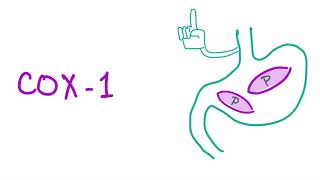 Cyclooxygenase1 amp Cyclooxygenase2 COX 1 COX 2  All You Need To Know  Pharmacology [upl. by Nelloc]