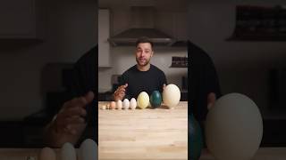 I Cooked the World’s CRAZIEST Eggs [upl. by Benedick]