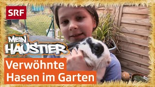 Hase im grossen Stall  Mein Haustier  SRF Kids – Kindervideos [upl. by Nahamas]