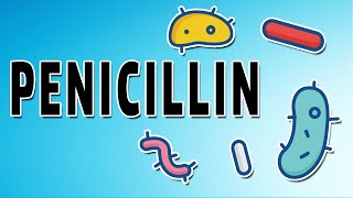 Penicillin Mechanism and Side Effects [upl. by Anaahs]