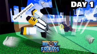 Ive Played 100 DAYS BLOX FRUITS Before PART 1 [upl. by Kornher854]