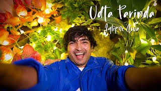 Udta Parinda  Official Music Video  Iqlipse Nova [upl. by Hutton]