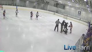 Youth hockey coach fired after fighting referee on ice at Kingston rink [upl. by Xavler]