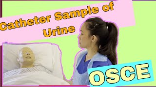 Catheter Sample of Urine CSU OSCE 2021 [upl. by Swiercz153]