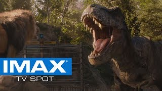 Jurassic World Fallen Kingdom  Lion VS T Rex roar [upl. by Nereus482]