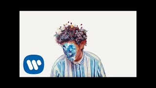 Hobo Johnson  Happiness Official Audio [upl. by Nyrahtak]