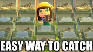 HOW TO Catch TARANTULA EASY in Animal Crossing New Horizons [upl. by Connett]