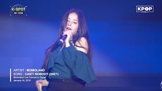 Momoland Live Performance [upl. by Worthington]