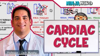 Cardiovascular  Cardiac Cycle [upl. by Tehc902]