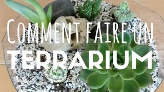 Tutoriel  Comment faire un terrarium  facile [upl. by Nanreh]