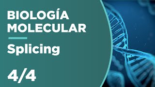 SPLICING y Splicing Alternativo  Biología Molecular 44 [upl. by Helsell]