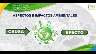 Aspectos e Impactos Ambientales [upl. by Richela]