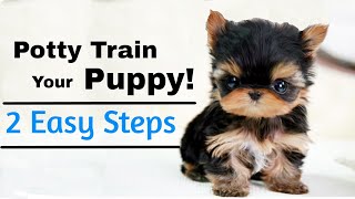 How to Potty Train A Puppy 2 EASY STEPS [upl. by Elleirda]