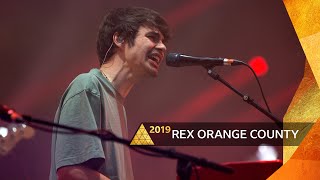 Rex Orange County Live Performance [upl. by Kee]