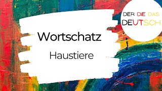 Haustiere  Deutsch lernen  Wortschatz [upl. by Saks]