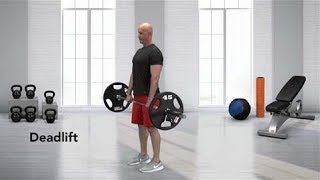 How to do a Barbell Deadlift [upl. by Enerak917]