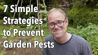 7 Simple Strategies to Prevent Garden Pests [upl. by Olracnaig]