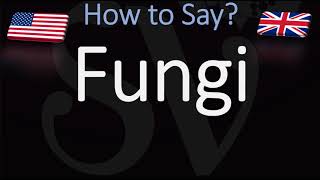 How to Pronounce Fungi [upl. by Enytsirhc897]