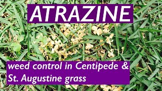 How to use ATRAZINE for WEEDS in Centipede Grass  St Augustine  Spectracide Weed Stop for Lawns [upl. by Enineg]