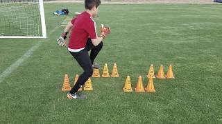 U12 Goalkeeper Training [upl. by Avilla]