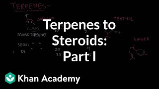 From terpenes to steroids part 1 Terpenes  Endocrine system physiology  NCLEXRN  Khan Academy [upl. by Dent]