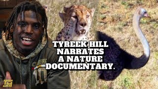 3 Cheetahs vs 1 Ostrich Tyreek Hill Narrates a Nature Documentary [upl. by Karas]