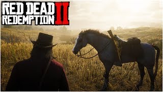 HOW TO GET THE BEST ARABIAN HORSE Rose Grey Bay  Red Dead Redemption 2 Tips amp Tricks [upl. by Uzzi]