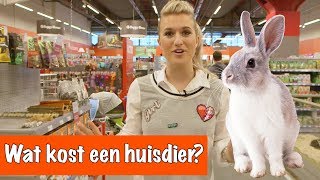 Wat kost een huisdier  DierenpraatTV [upl. by Anorahs977]