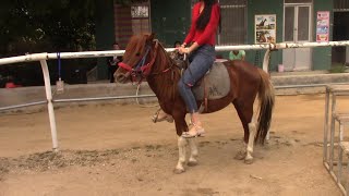 Pony ride in Sanya Racecourse [upl. by Briscoe]