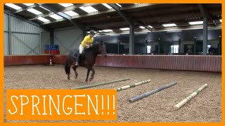 Basis springen  PaardenpraatTV [upl. by Bickart827]